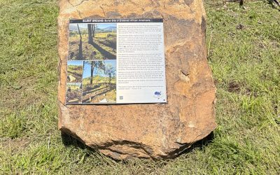 Interpretive Marker Placed at Graves Mill Cemetery
